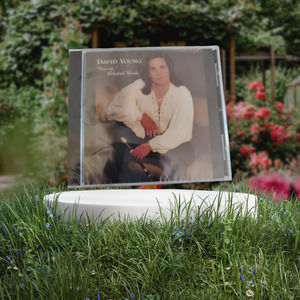 David Young Beyond Celestial Winds